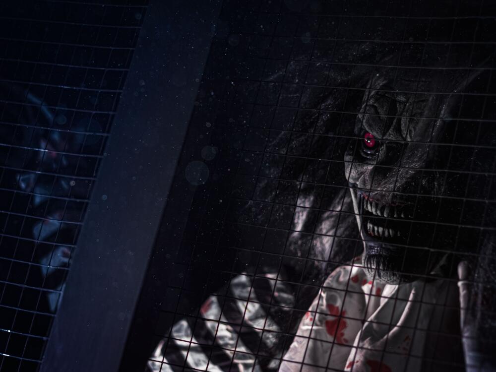 Ужасающий цирк (Horror 11+), фото - 2